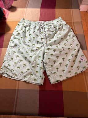 Men's Mint Palm-Print Swim Trunks with Elastic Waist